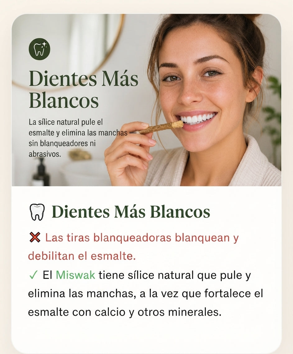 Miswak - Blanqueador Bucal y Cepillo 100% Vegetal