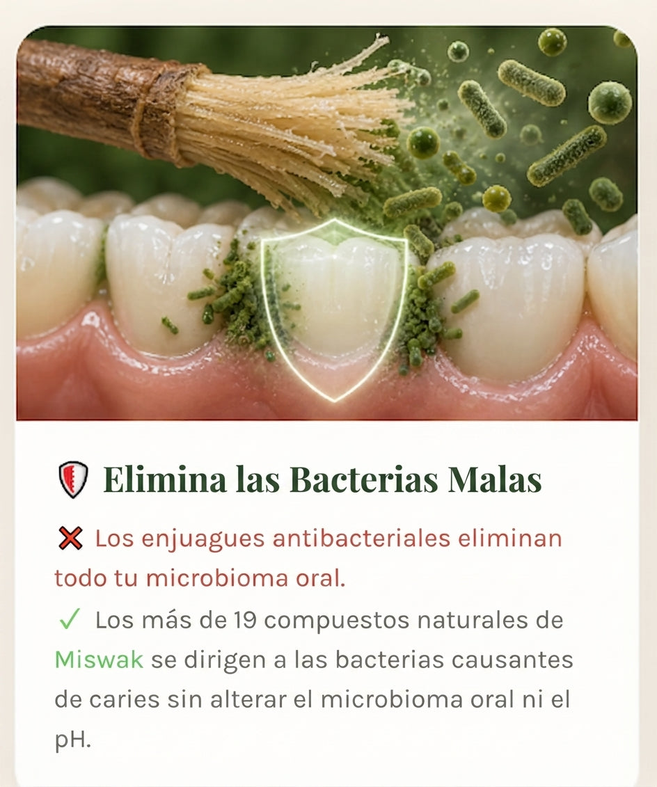 Miswak - Blanqueador Bucal y Cepillo 100% Vegetal