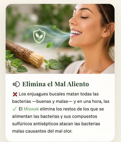 Miswak - Blanqueador Bucal y Cepillo 100% Vegetal