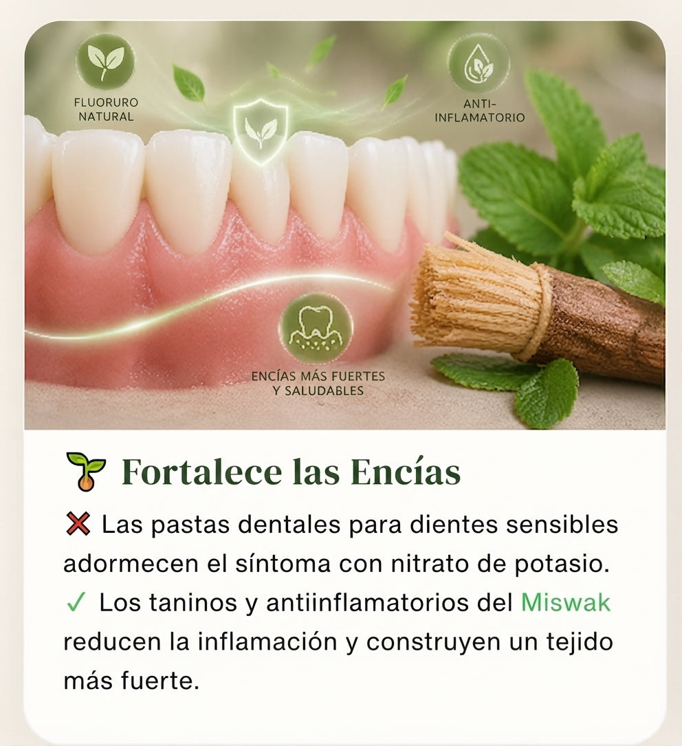 Miswak - Blanqueador Bucal y Cepillo 100% Vegetal