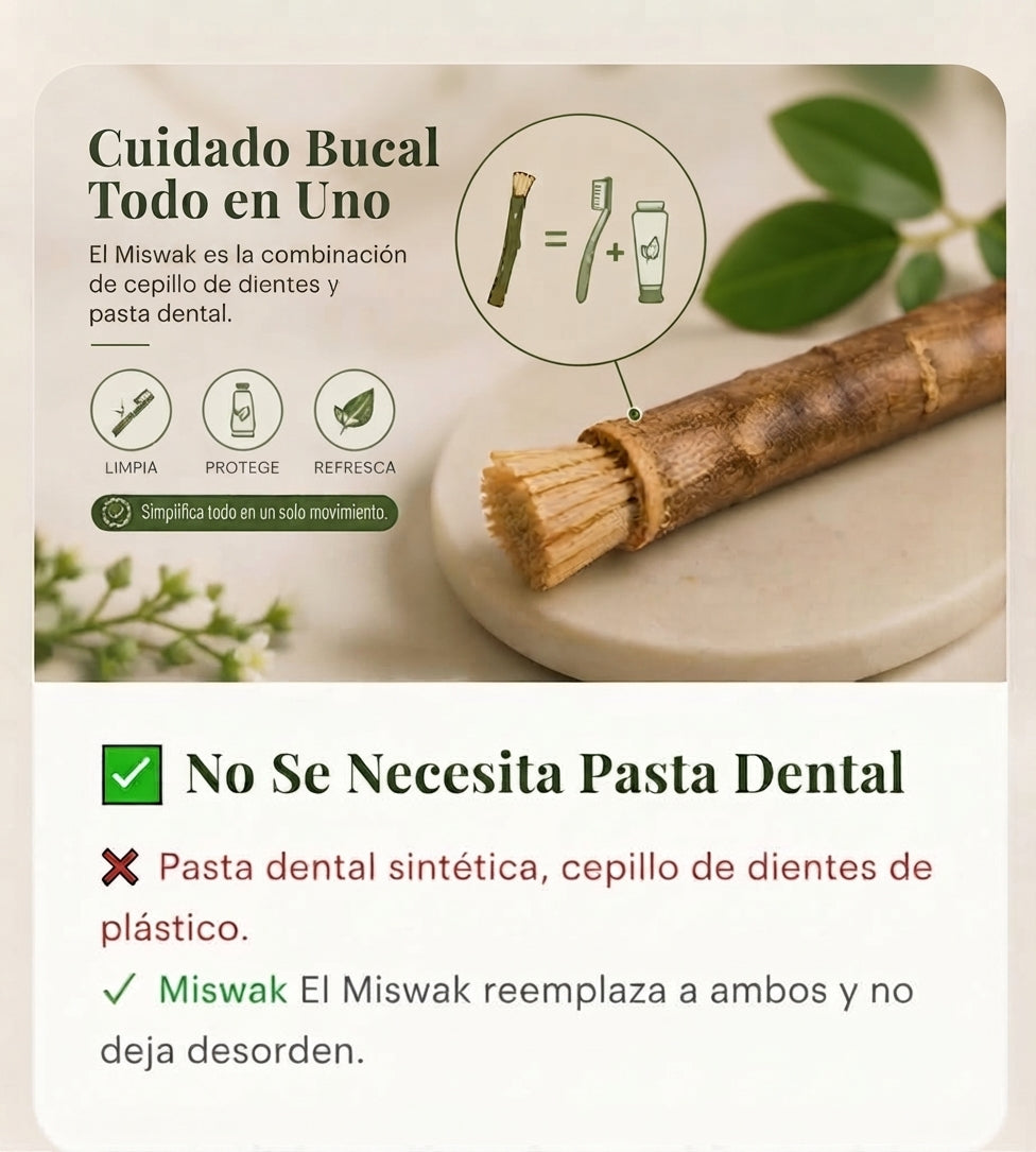 Miswak - Blanqueador Bucal y Cepillo 100% Vegetal